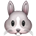 🐰